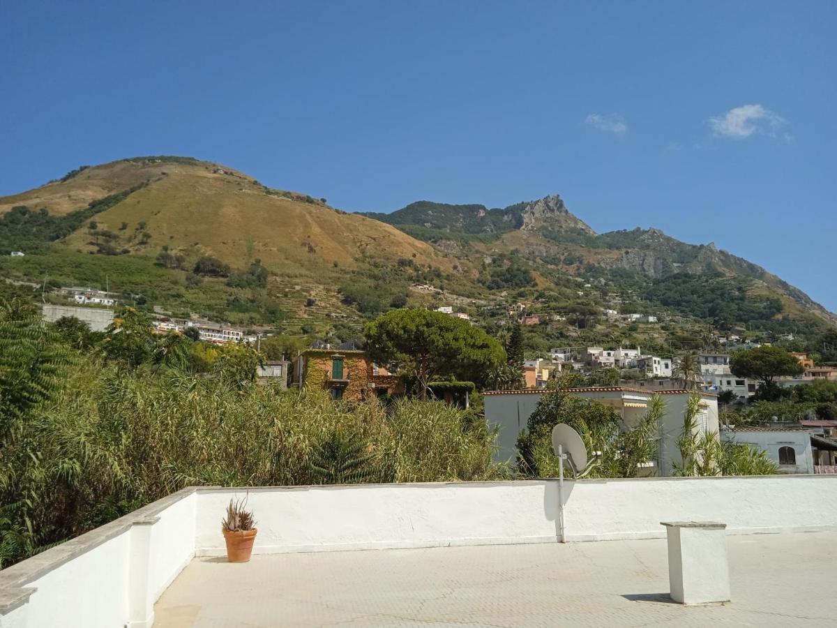 Villa Thomas Bb Conduzione Familiare Forio di Ischia Kültér fotó