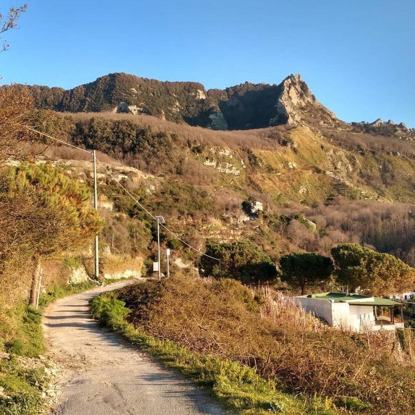 Villa Thomas Bb Conduzione Familiare Forio di Ischia Kültér fotó