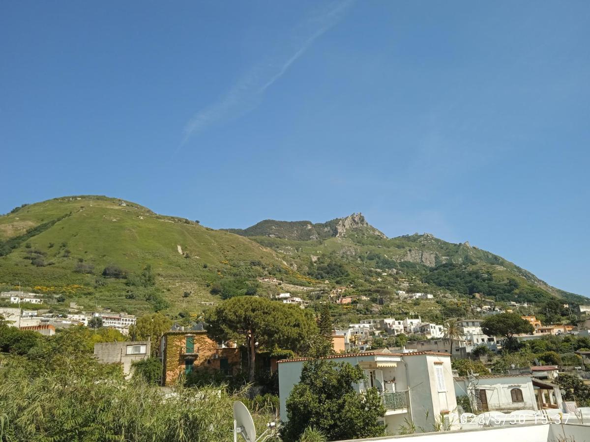 Villa Thomas Bb Conduzione Familiare Forio di Ischia Kültér fotó