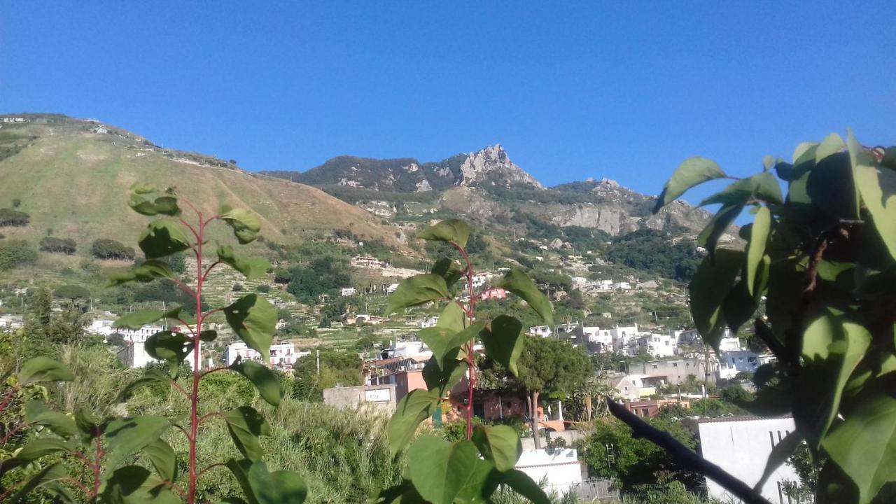 Villa Thomas Bb Conduzione Familiare Forio di Ischia Kültér fotó