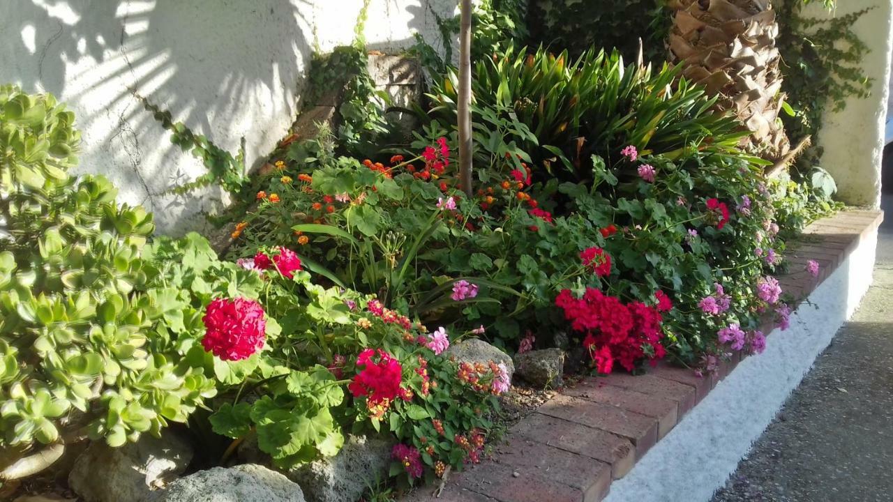 Villa Thomas Bb Conduzione Familiare Forio di Ischia Kültér fotó